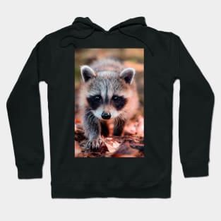 Cute Baby Raccoon Hoodie